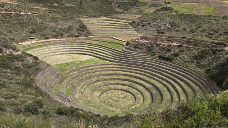 MARAS MORAY 1000312775