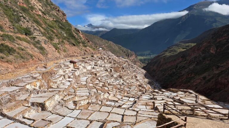 MARAS MORAY 1000314355