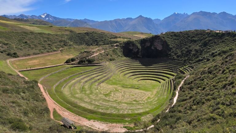 MARAS MORAY 1000314427
