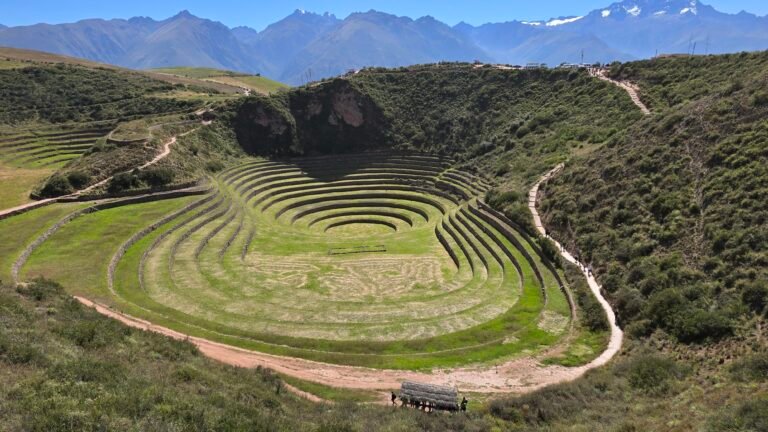 MARAS MORAY 1000314428